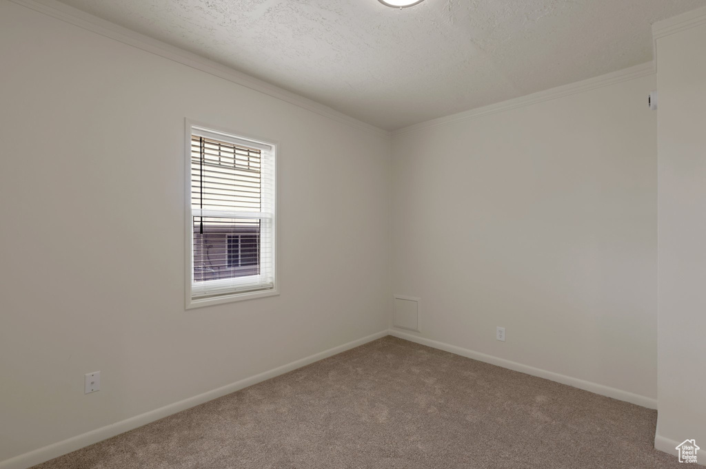 Carpeted empty room with crown molding and a textured ceiling