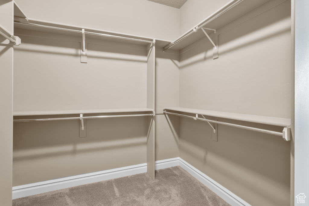 Walk in closet with carpet