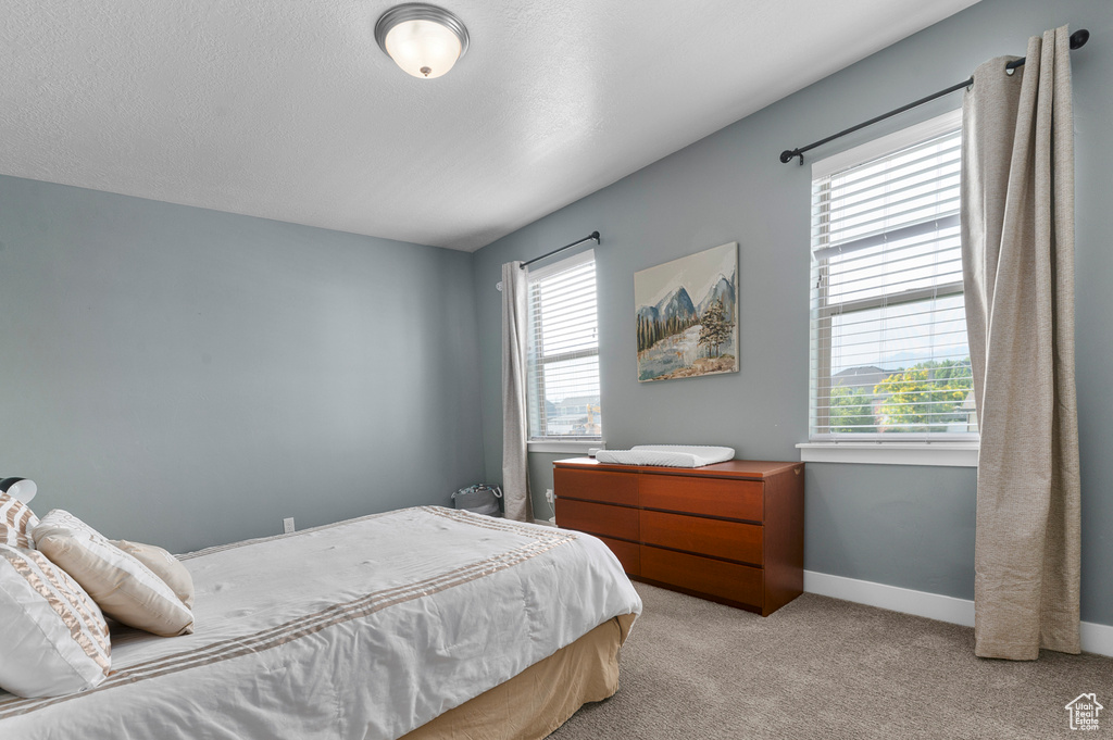 231 N 750 W Springville, UT 84663