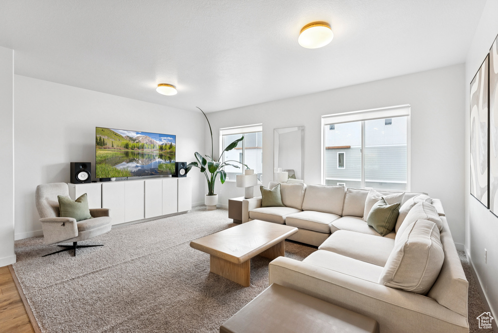 Living area featuring wood finished floors and baseboards