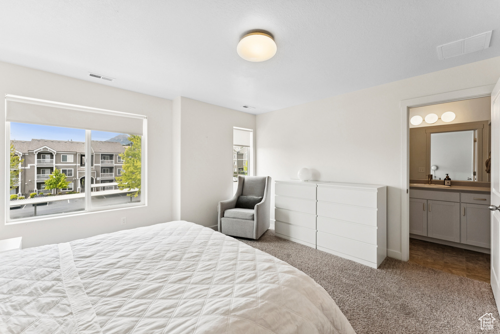Carpeted bedroom featuring a sink