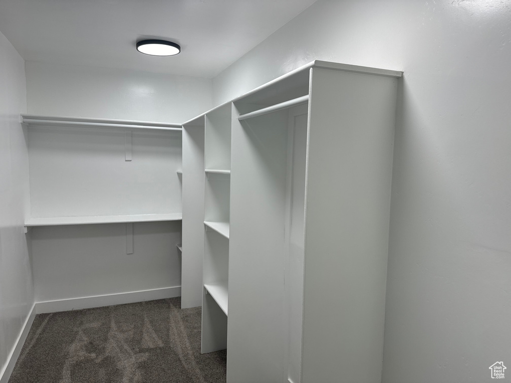 Walk in closet featuring dark carpet