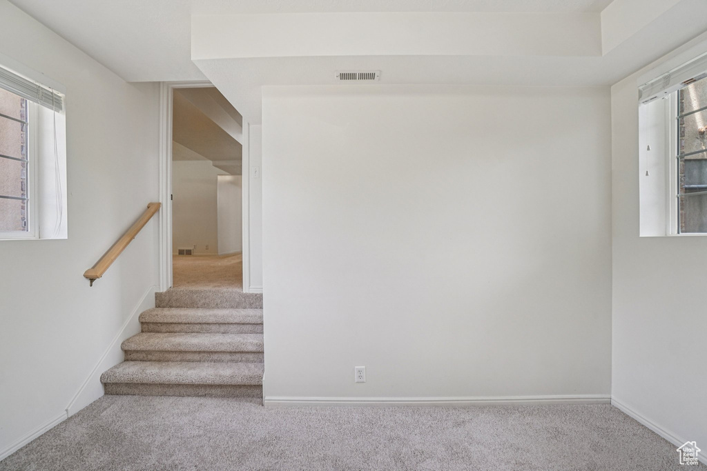Stairway with carpet floors and baseboards