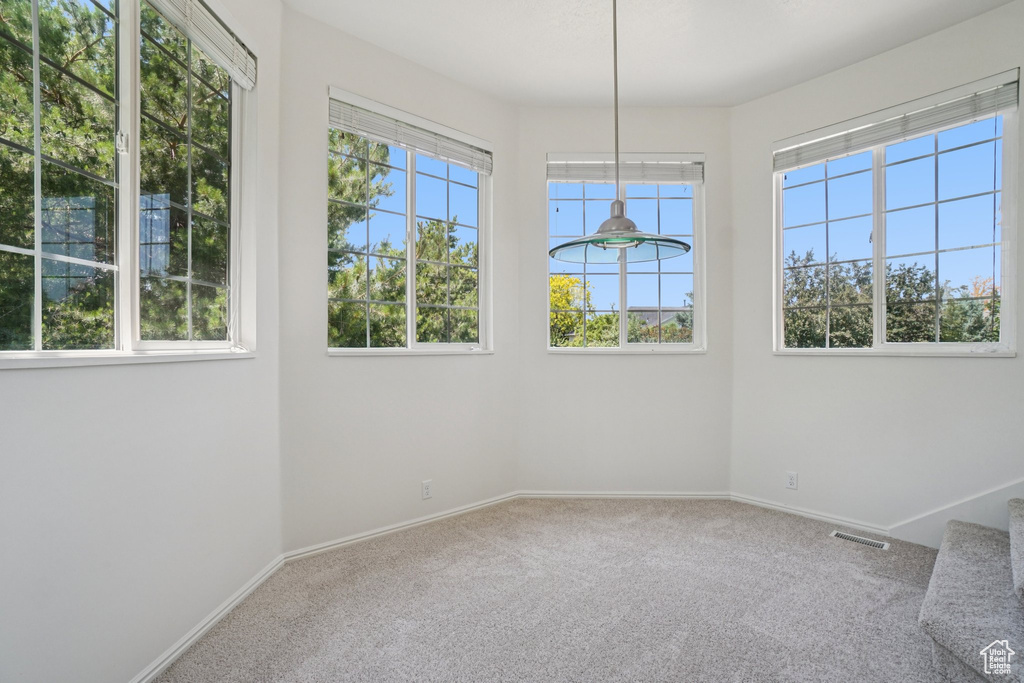 Spare room with carpet flooring