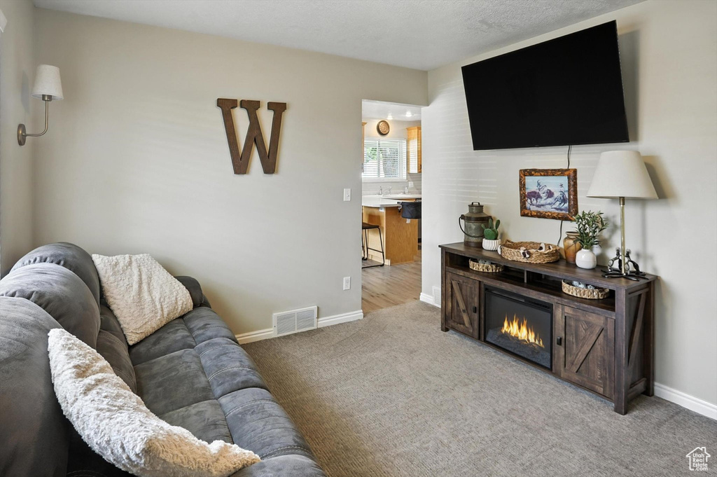 Carpeted living area featuring baseboards and a glass covered fireplace