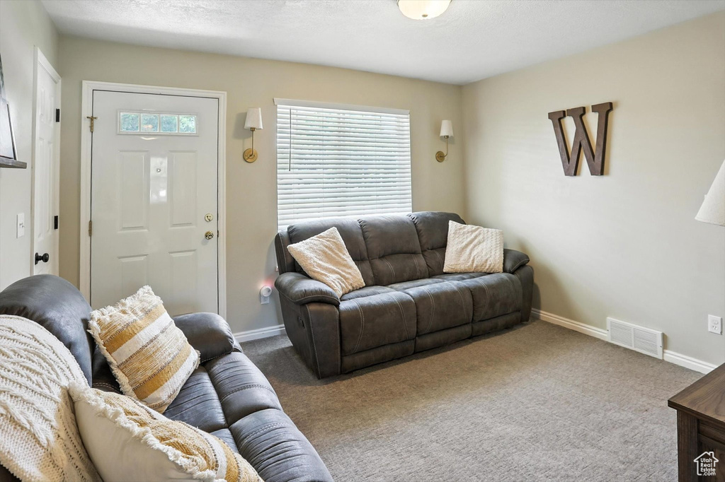 Living room featuring healthy amount of natural light and carpet