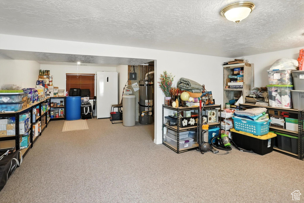 Storage featuring strapped water heater