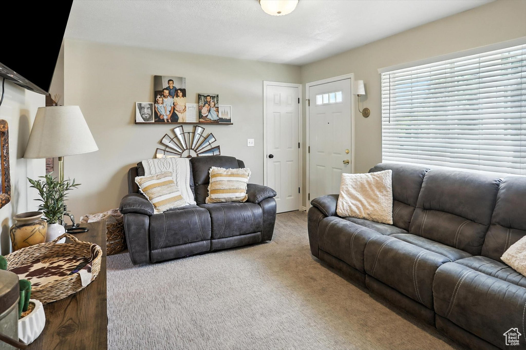 View of carpeted living room