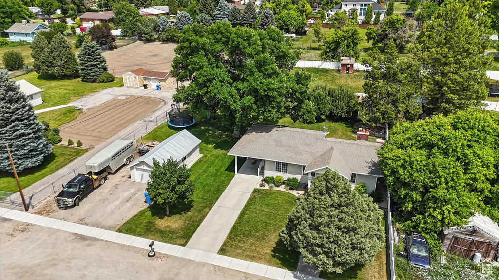 Bird's eye view