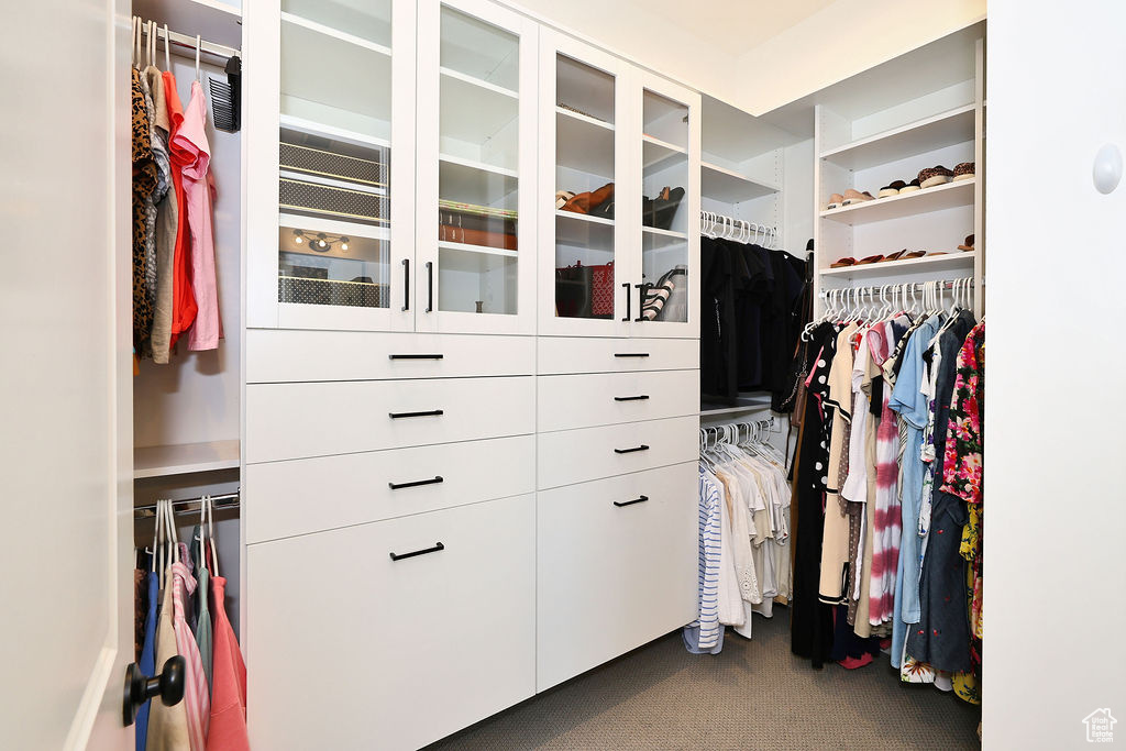 Spacious closet featuring dark colored carpet