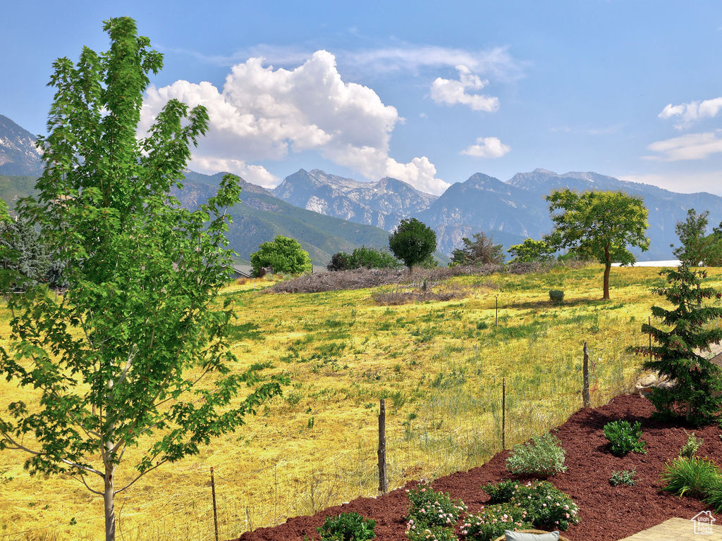 View of mountain background