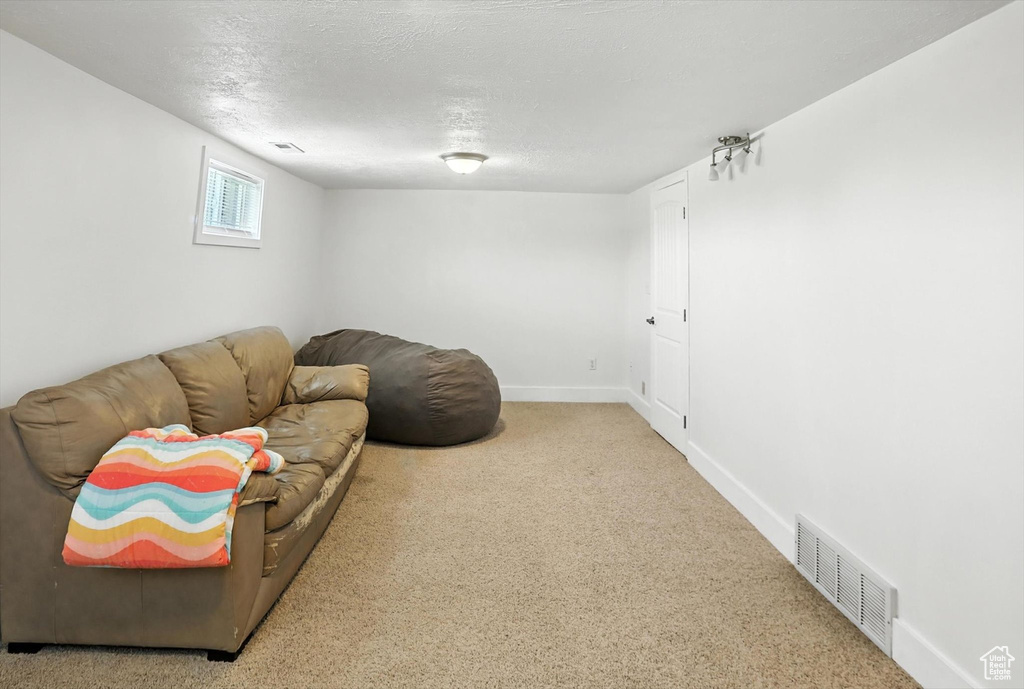 Living area with carpet floors and a textured ceiling