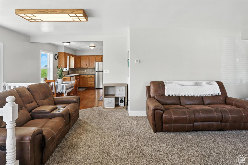 Living area with carpet floors