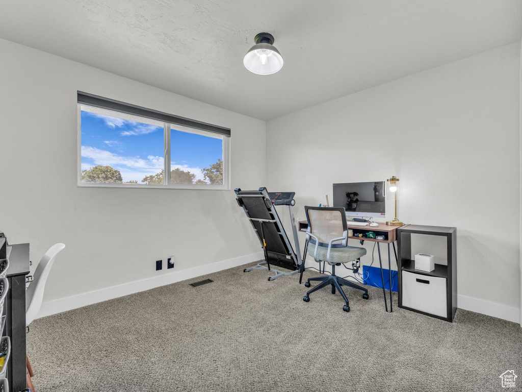 Carpeted home office with baseboards