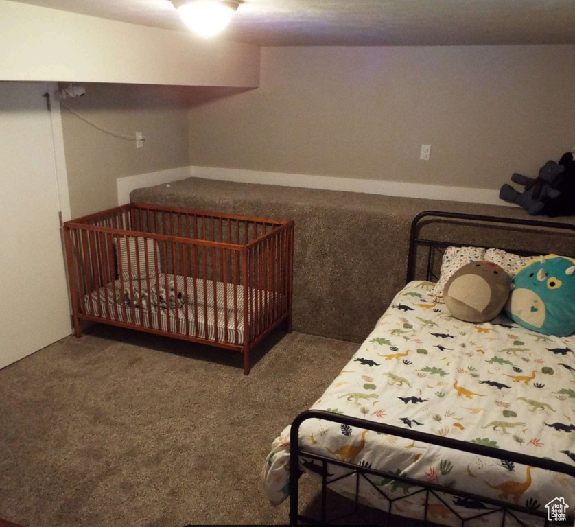 Bedroom with carpet floors