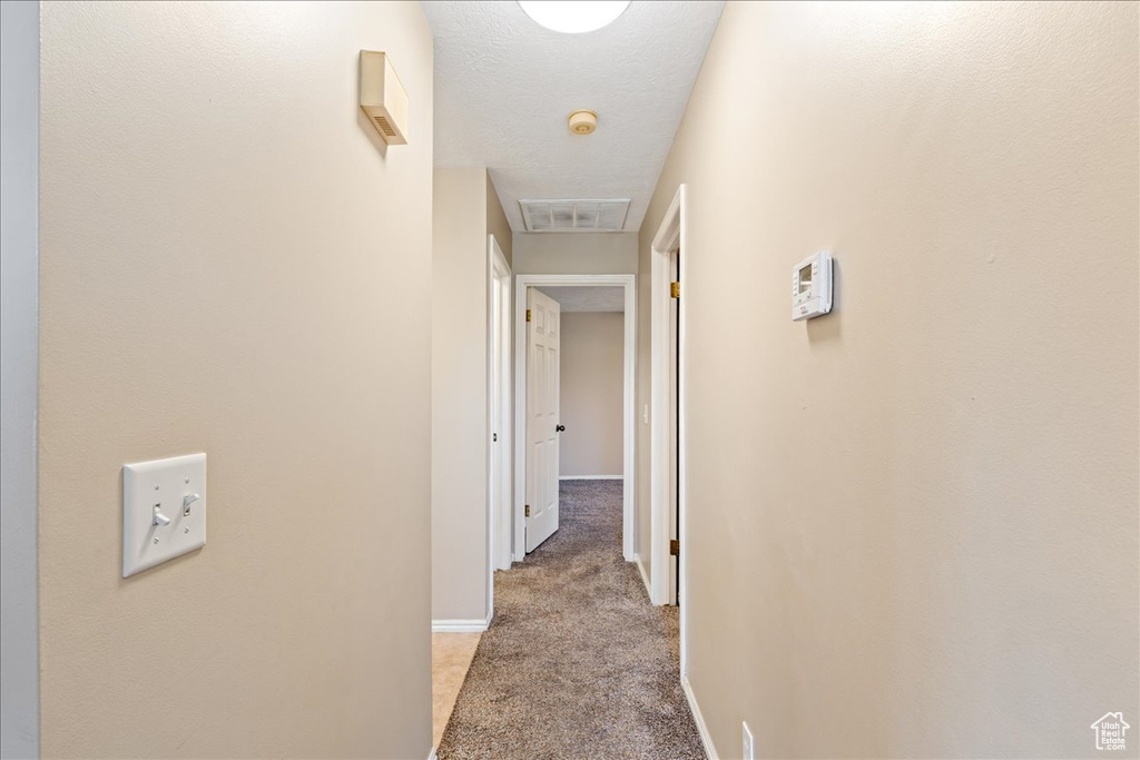 Corridor with light carpet and baseboards
