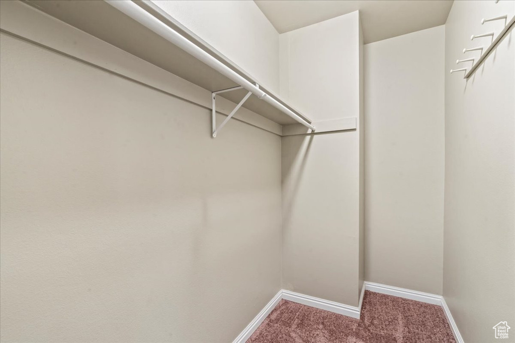 Spacious closet featuring carpet floors