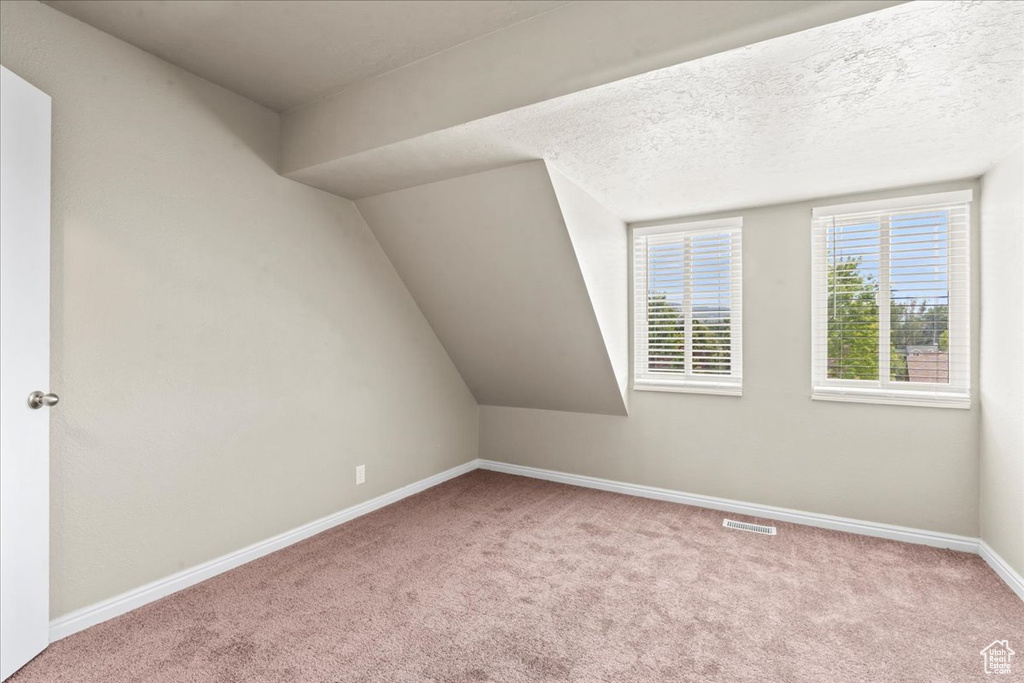 Additional living space with carpet and a textured ceiling