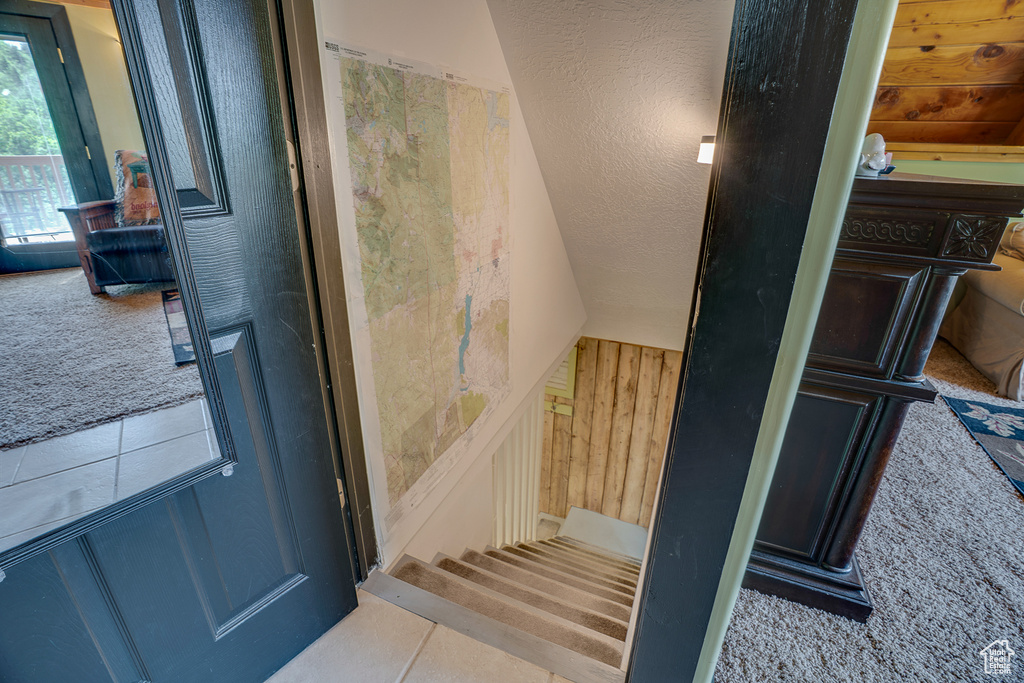 Stairs featuring wood walls, carpet flooring, and lofted ceiling