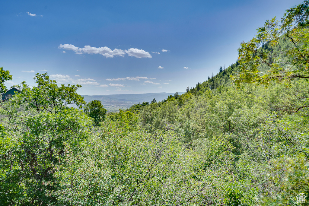 View of mountain background featuring a forest
