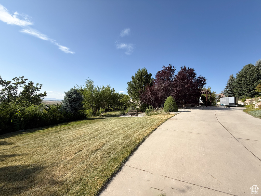 View of green lawn featuring driveway