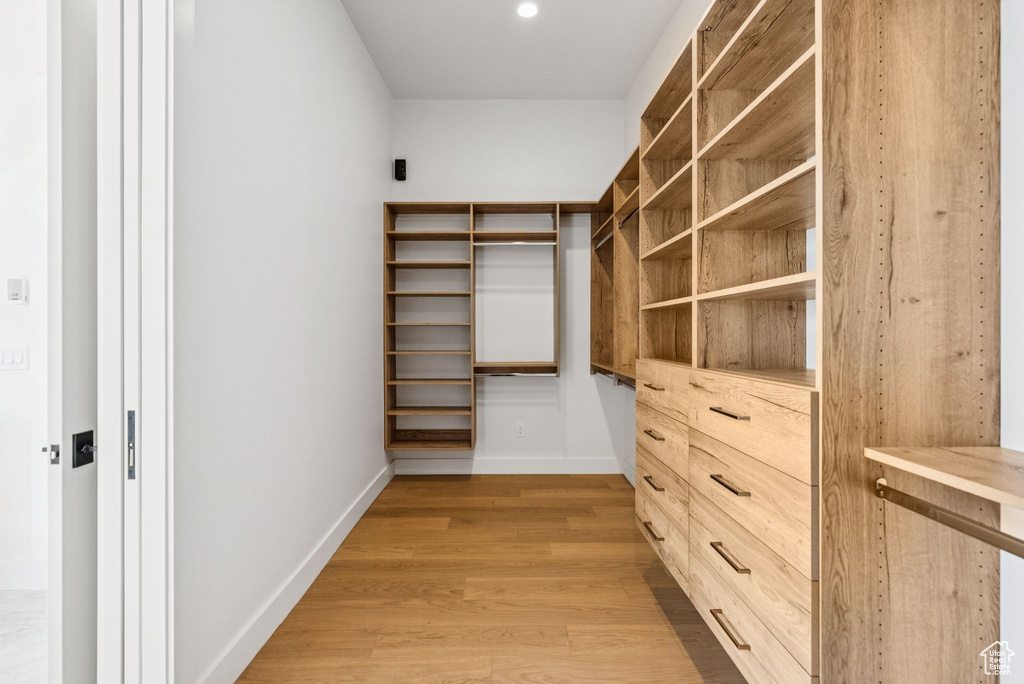 Spacious closet featuring light wood-type flooring