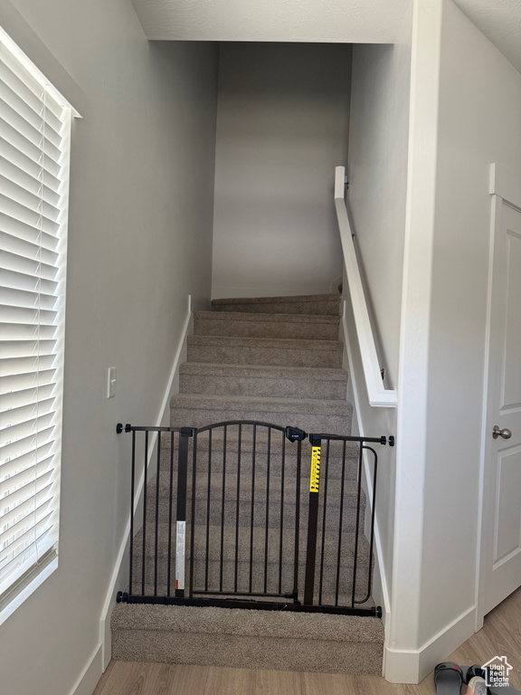 Stairway featuring wood finished floors