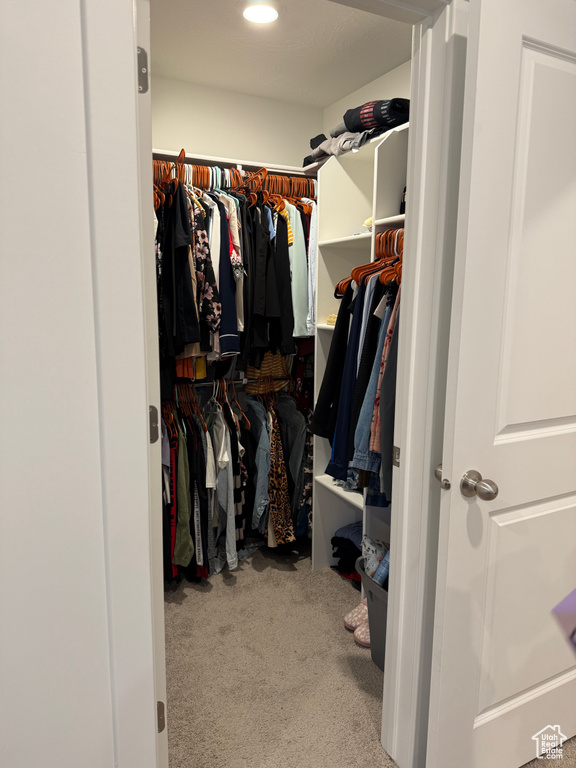 Spacious closet with carpet floors