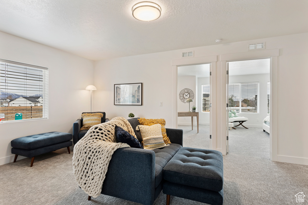 Carpeted living room with baseboards