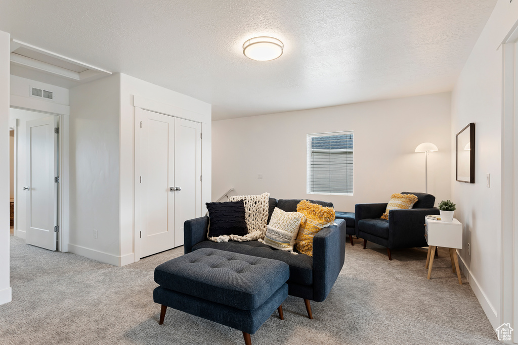 Living room featuring light colored carpet and a textured ceiling
