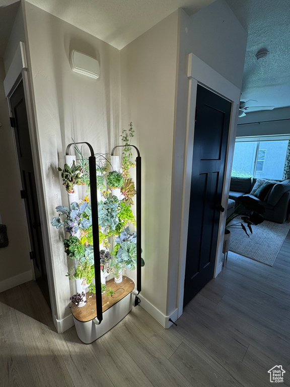 Hall featuring wood finished floors and a textured ceiling