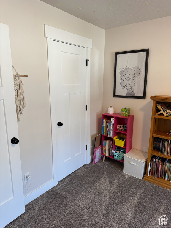 Recreation room with carpet