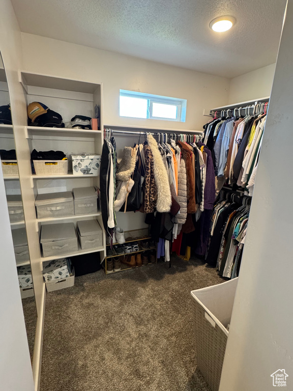 Walk in closet with carpet flooring