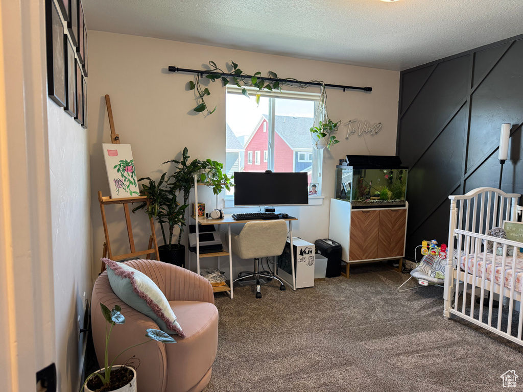 Office featuring carpet floors and a textured ceiling