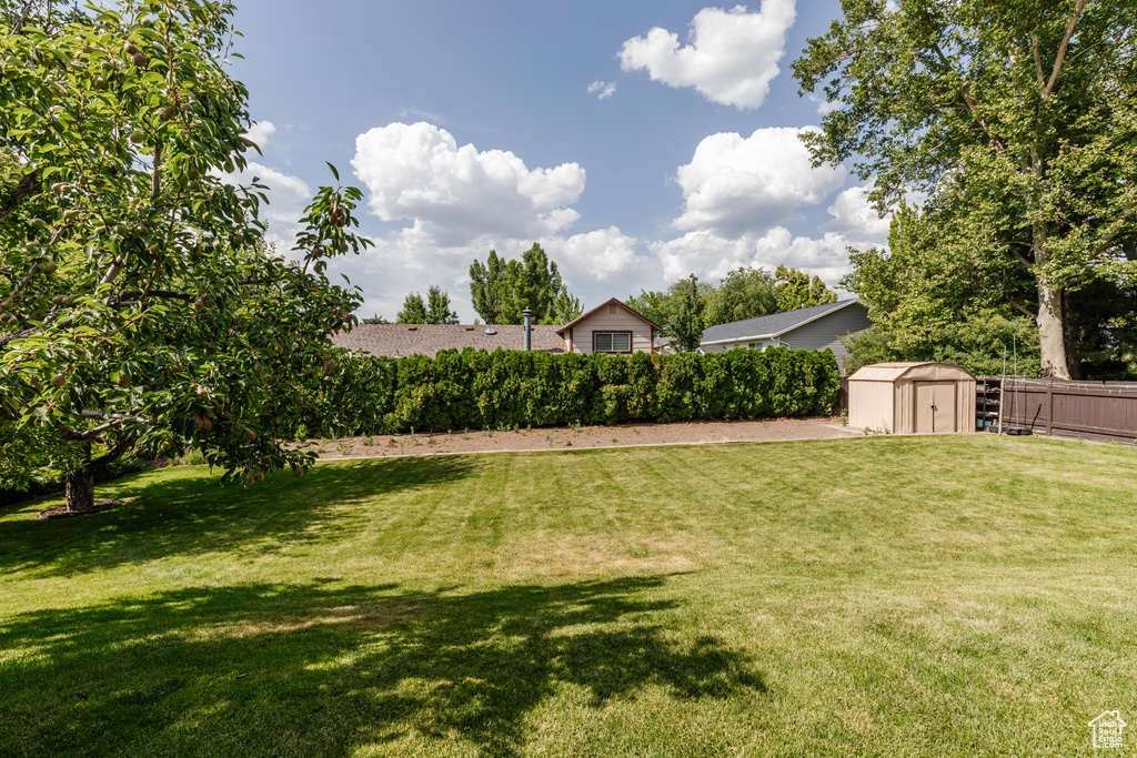 Fenced backyard featuring a storage shed