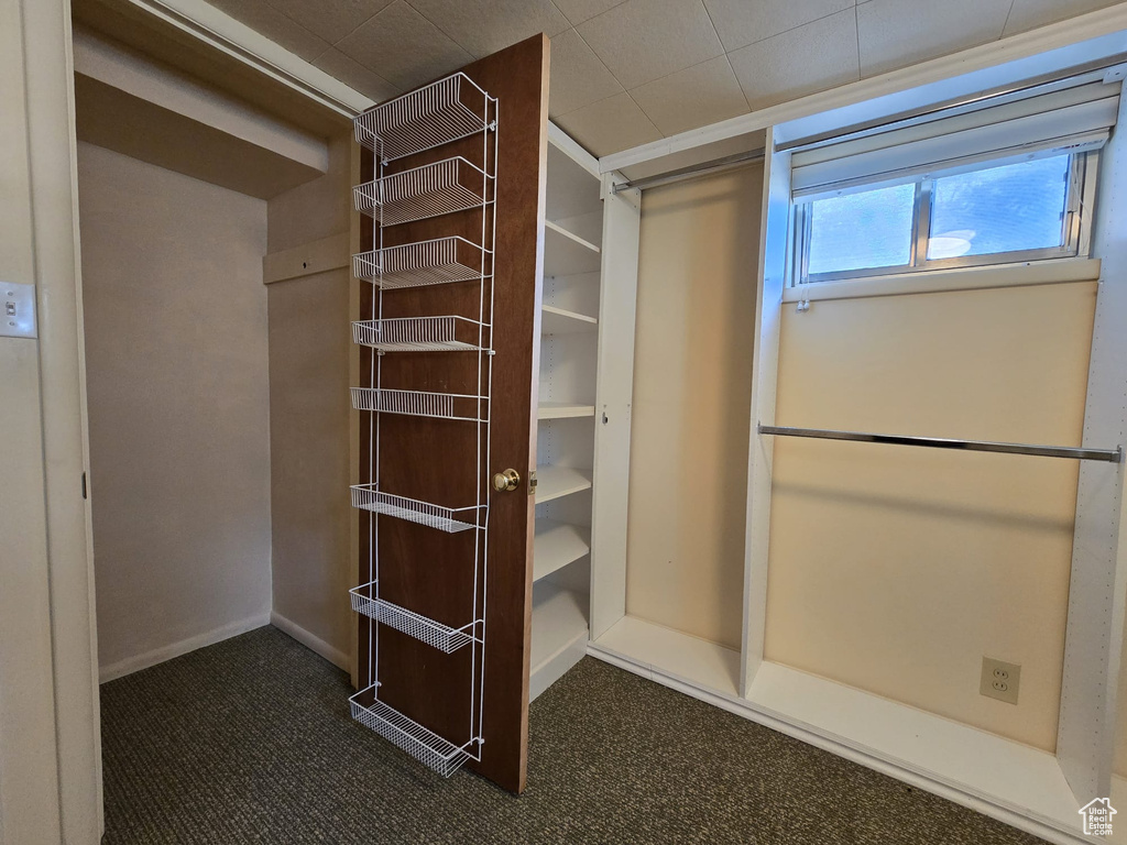 Walk in closet with dark carpet