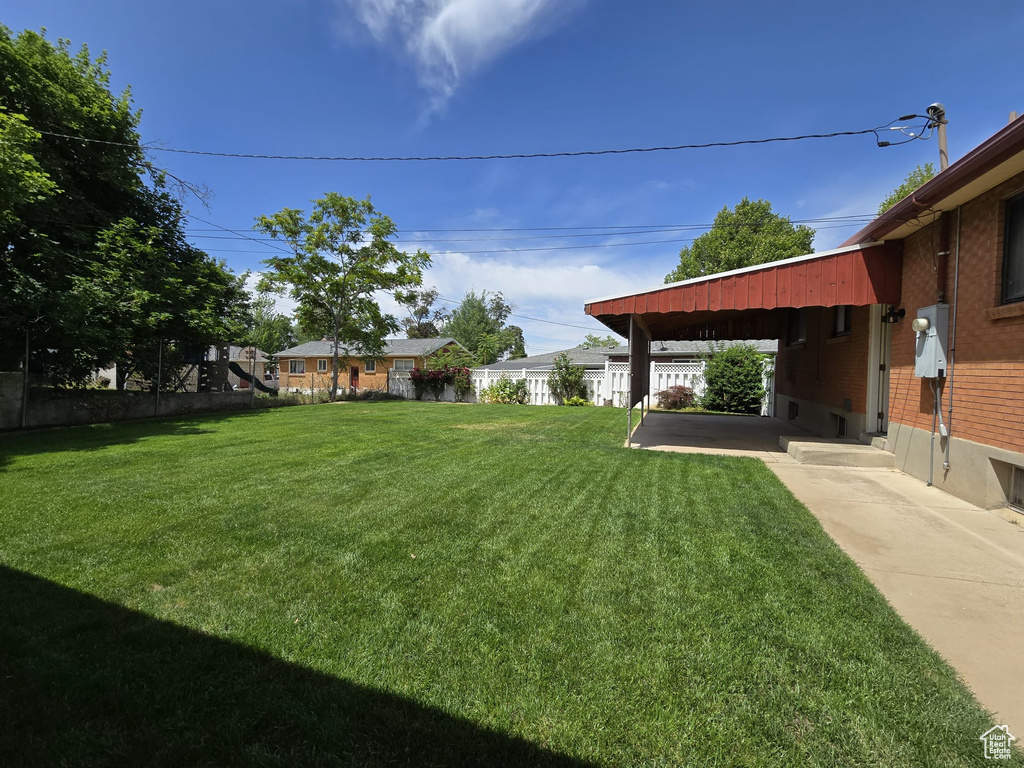 View of yard