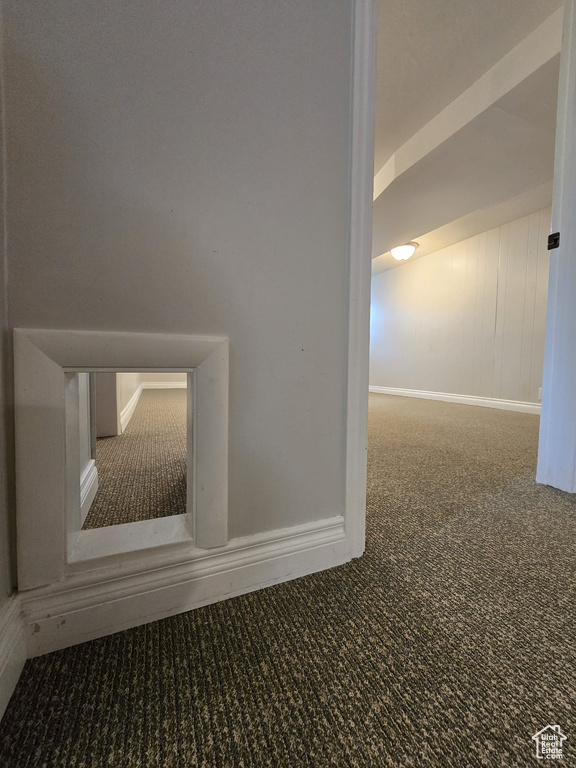 Detailed view of carpet