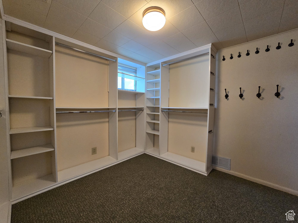 Spacious closet featuring dark colored carpet