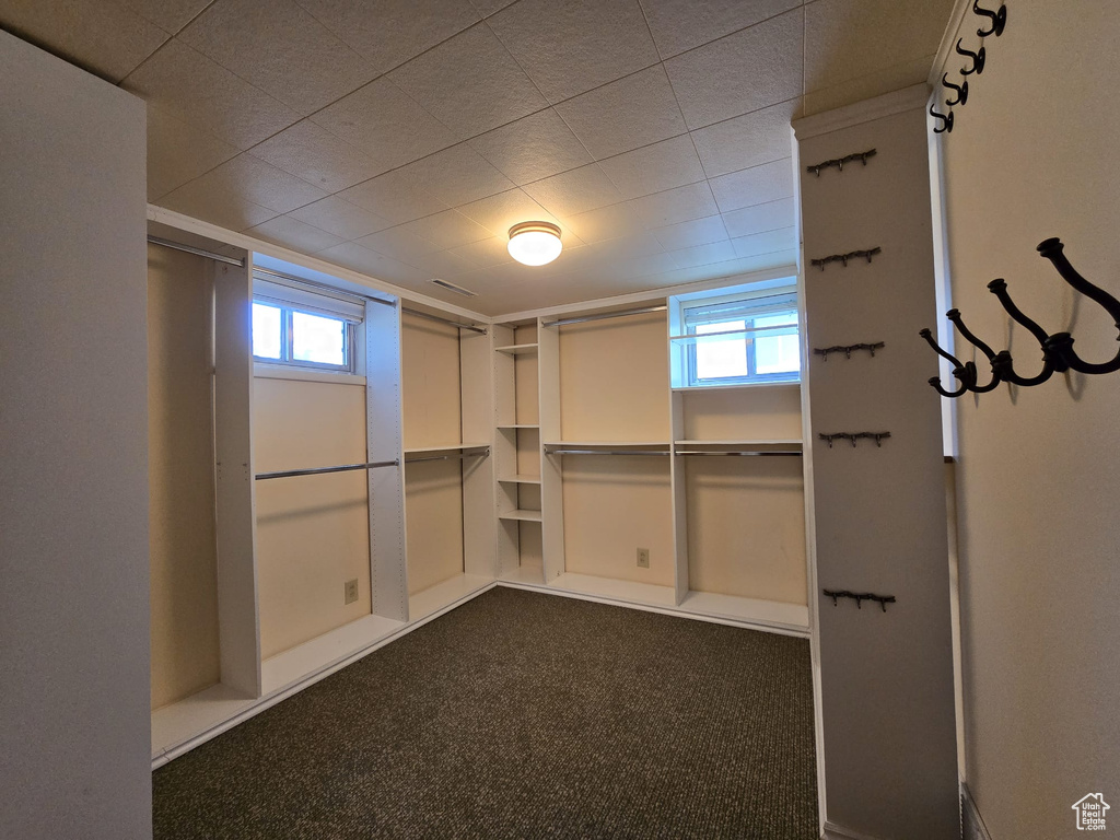 Spacious closet with dark carpet