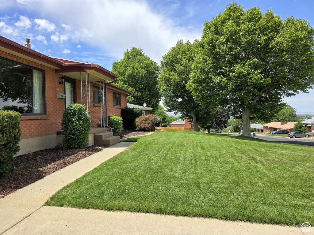 View of green lawn