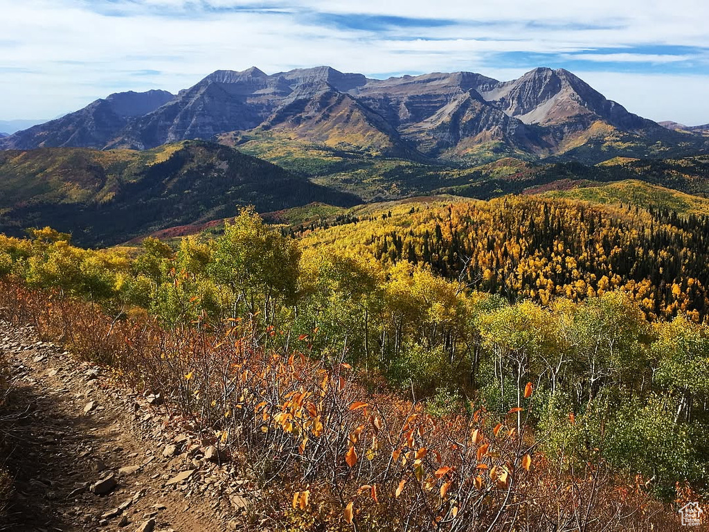 View of mountain backdrop