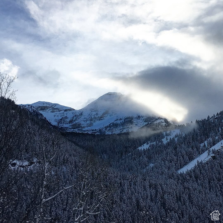 View of mountain background