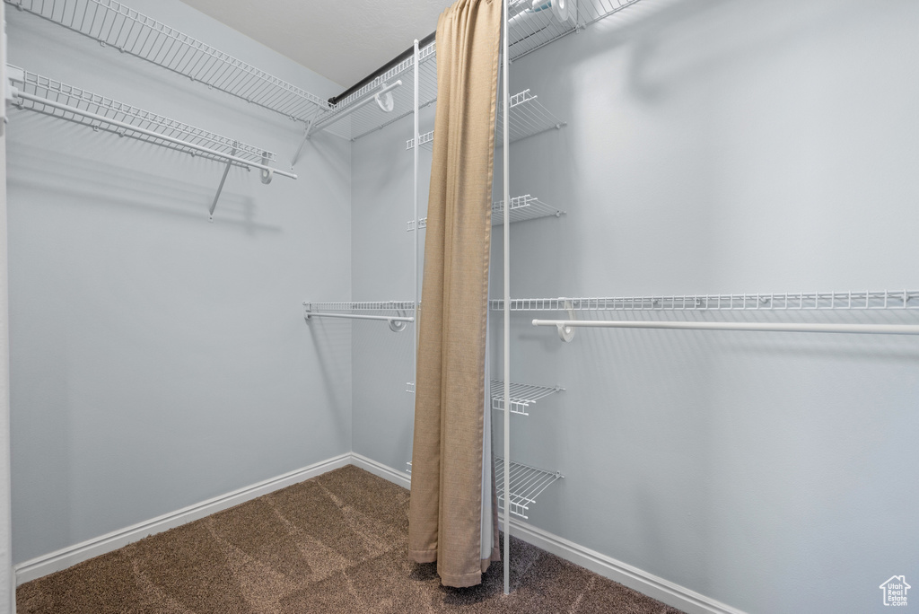 Walk in closet with carpet flooring