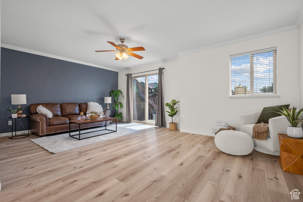 Living room with healthy amount of natural light, wood finished floors, a ceiling fan, and crown molding