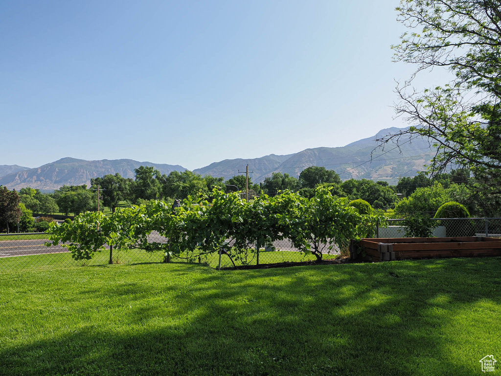 Mountain view