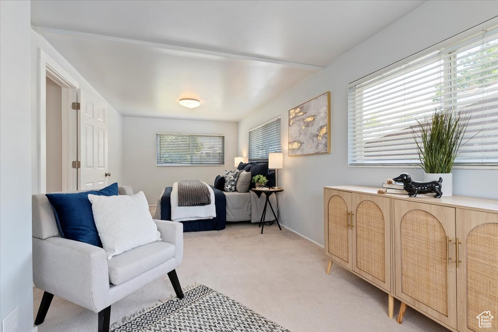 Sitting room with light colored carpet and plenty of natural light