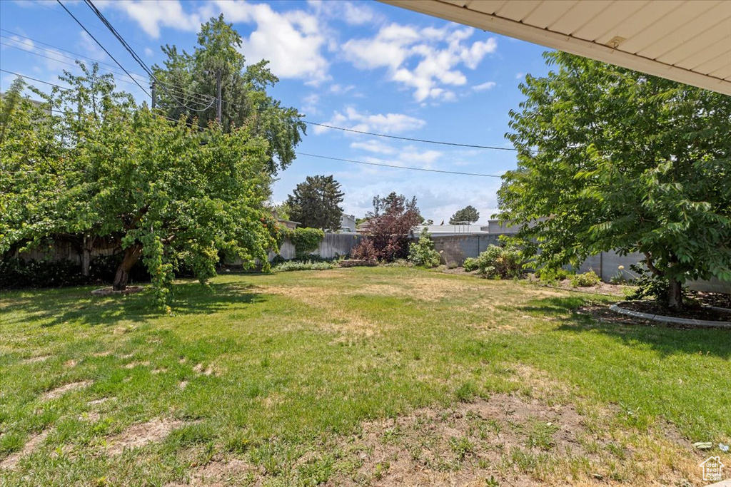 View of fenced backyard