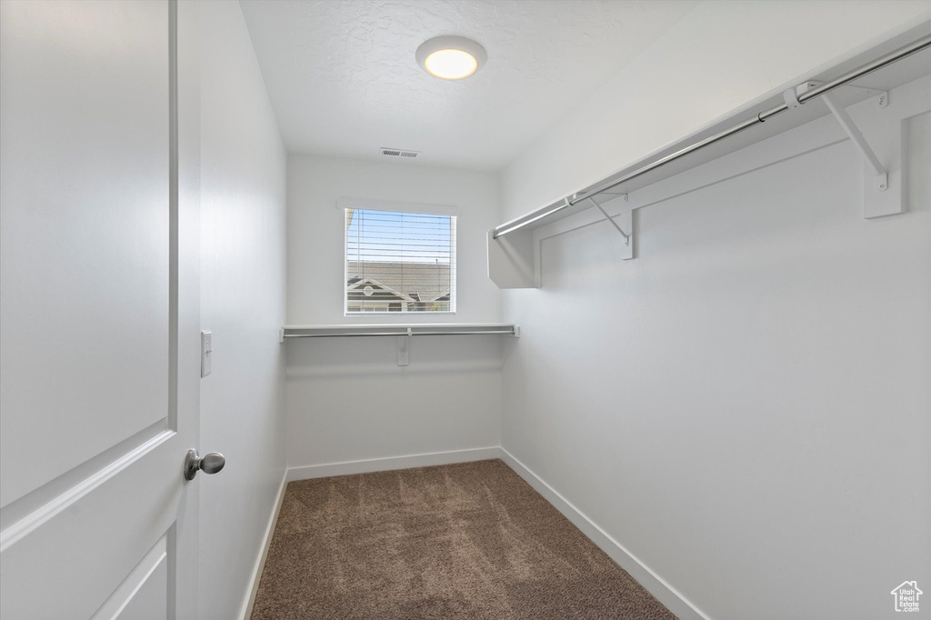 Walk in closet featuring dark colored carpet