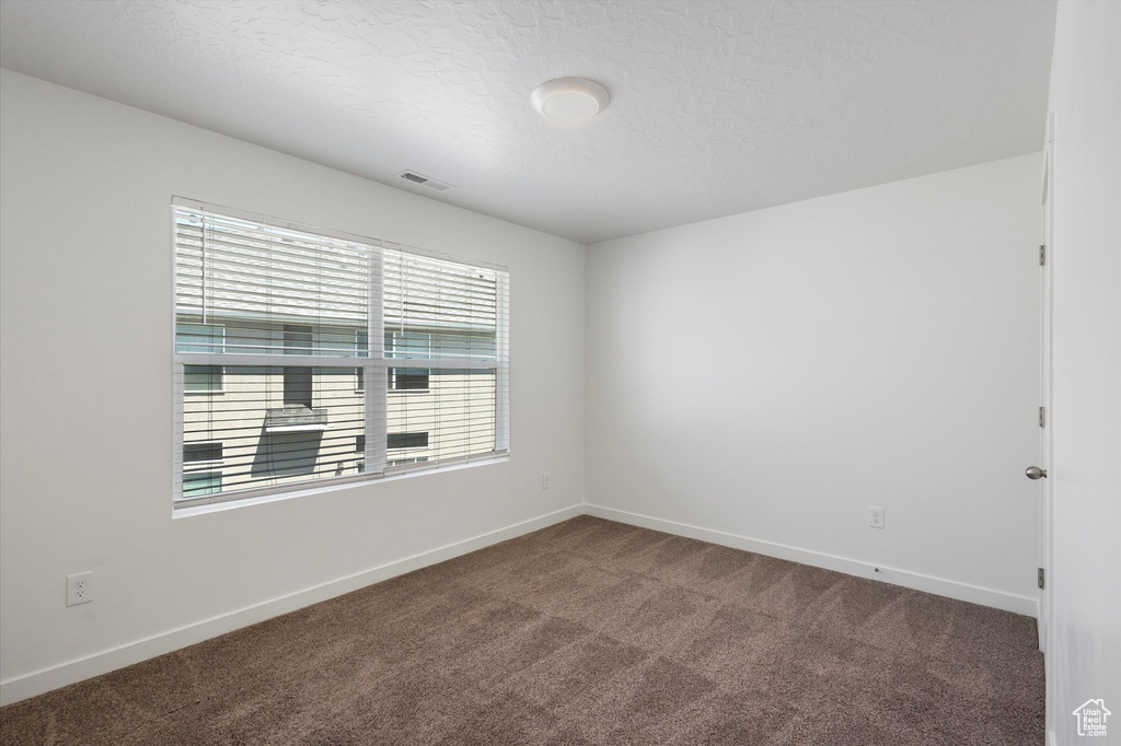 Spare room with plenty of natural light, carpet, and a textured ceiling
